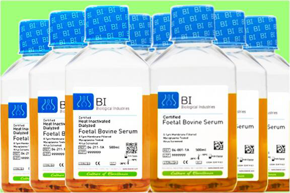 胎牛血清(北美血源) 主圖