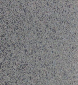 CA46人Burkitt's淋巴瘤細(xì)胞主圖