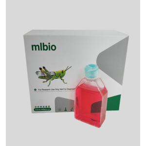 人羊膜間充質(zhì)干細(xì)胞主圖