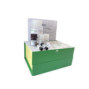 鳥氨酸脫酶(ODC)活性檢測試劑盒分光法/24樣主圖