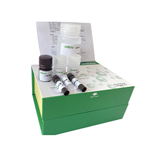 天冬酰胺酶(ASNase/asparaginase)活性測定試劑盒微板法/96樣主圖