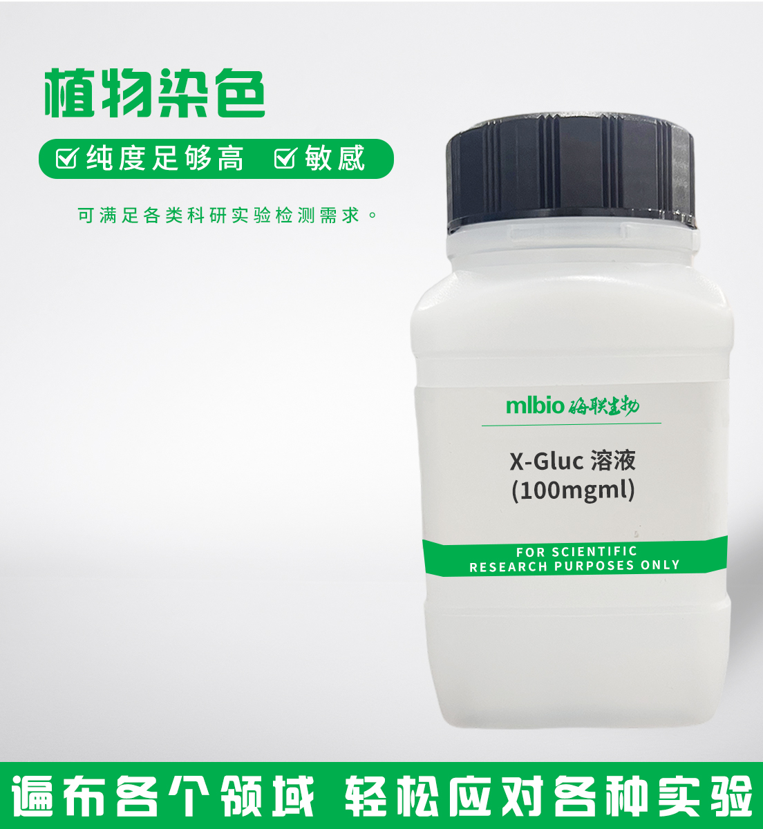 X-Gluc溶液(100m/gml)主圖