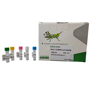 紋帶棒桿菌探針法qPCR試劑盒(不含內(nèi)參)主圖