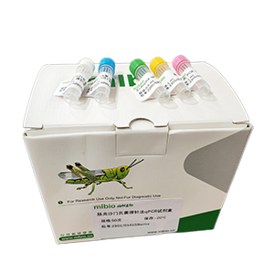 雞減蛋綜合征病毒-1976探針法qPCR試劑盒(不含內(nèi)參)主圖