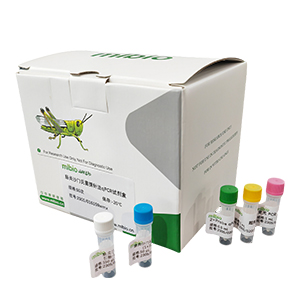 芽囊原蟲通用探針法qPCR試劑盒(不含內(nèi)參)主圖