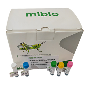 GMO外源ble基因探針?lè)╭PCR試劑盒(不含內(nèi)參)主圖