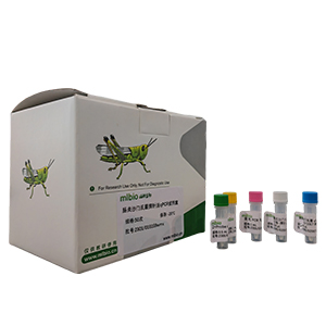 柯薩奇病毒A24型變種探針法qRT-PCR試劑盒(不含內(nèi)參)主圖