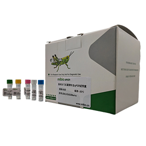 口腔支原體探針法qPCR試劑盒(不含內(nèi)參)主圖