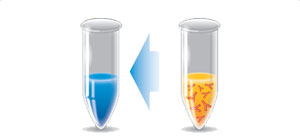 ELISA高靈敏度農(nóng)藥殘留檢測(cè)試劑盒