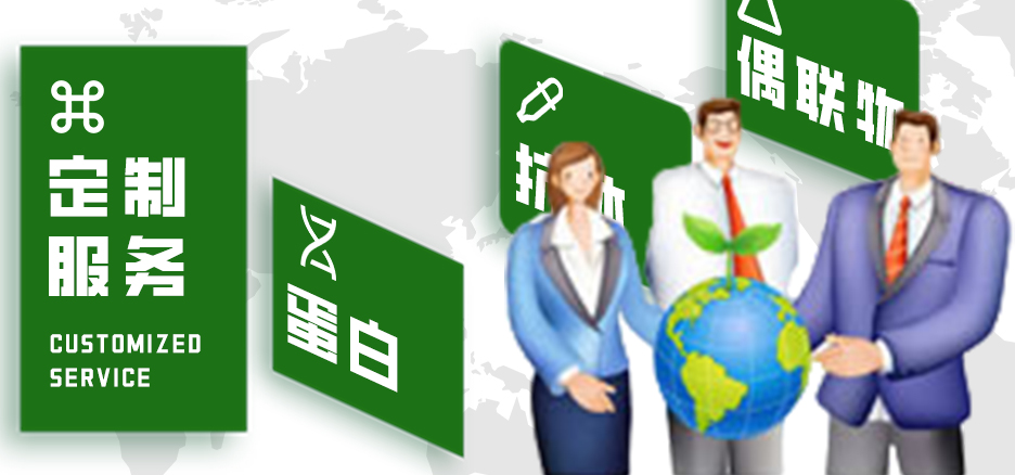 定制服務(wù)，蛋白，抗體，偶聯(lián)物